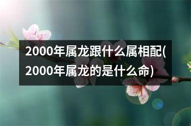 <h3>2000年属龙跟什么属相配(2000年属龙的是什么命)