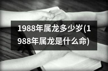 <h3>1988年属龙多少岁(1988年属龙是什么命)