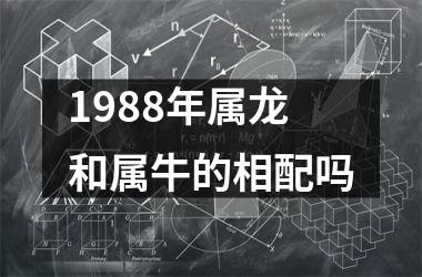 <h3>1988年属龙和属牛的相配吗