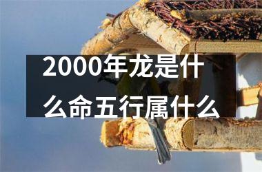 <h3>2000年龙是什么命五行属什么