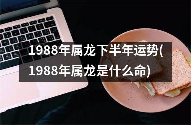 1988年属龙下半年运势(1988年属龙是什么命)