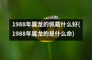 <h3>1988年属龙的佩戴什么好(1988年属龙的是什么命)