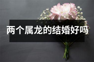 <h3>两个属龙的结婚好吗