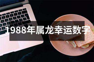 <h3>1988年属龙幸运数字