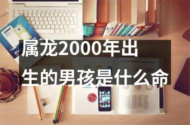 属龙2000年出生的男孩是什么命