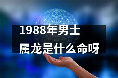 <h3>1988年男士属龙是什么命呀