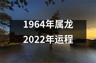 1964年属龙2025年运程