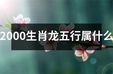 <h3>2000生肖龙五行属什么