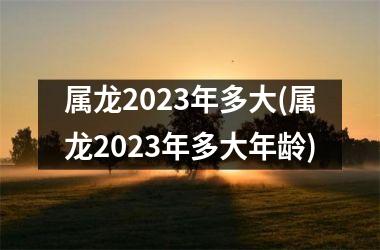 属龙2023年多大(属龙2023年多大年龄)