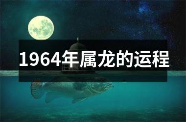 <h3>1964年属龙的运程