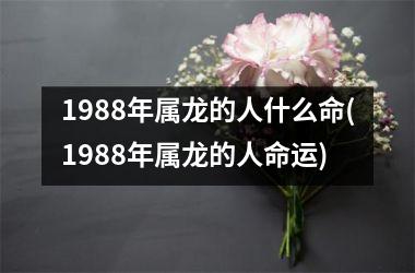 1988年属龙的人什么命(1988年属龙的人命运)