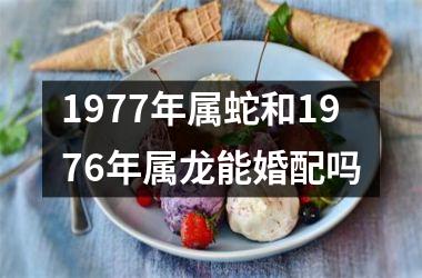 <h3>1977年属蛇和1976年属龙能婚配吗