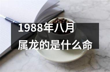 1988年八月属龙的是什么命