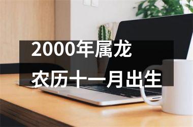 2000年属龙农历十一月出生