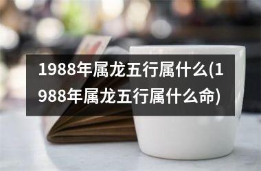 <h3>1988年属龙五行属什么(1988年属龙五行属什么命)