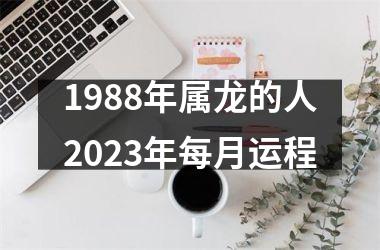 <h3>1988年属龙的人2025年每月运程