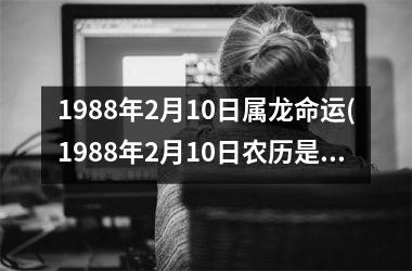 <h3>1988年2月10日属龙命运(1988年2月10日农历是多少)