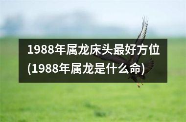 1988年属龙床头最好方位(1988年属龙是什么命)