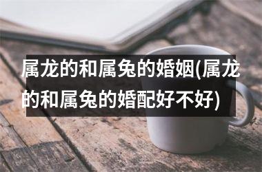 属龙的和属兔的婚姻(属龙的和属兔的婚配好不好)