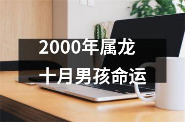 <h3>2000年属龙十月男孩命运