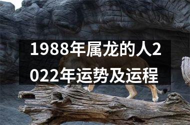 <h3>1988年属龙的人2025年运势及运程