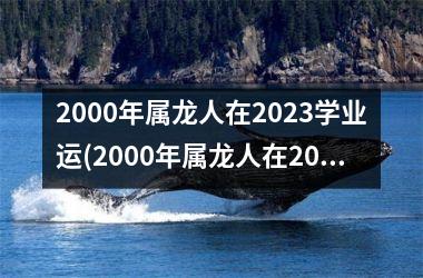 <h3>2000年属龙人在2025学业运(2000年属龙人在2025年的学业运势)