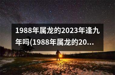 <h3>1988年属龙的2025年逢九年吗(1988年属龙的2025年运势)