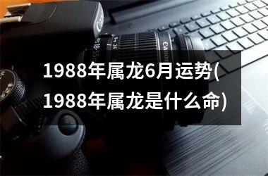 <h3>1988年属龙6月运势(1988年属龙是什么命)