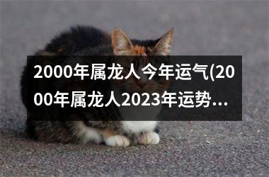 2000年属龙人今年运气(2000年属龙人2025年运势及运程每月运程)