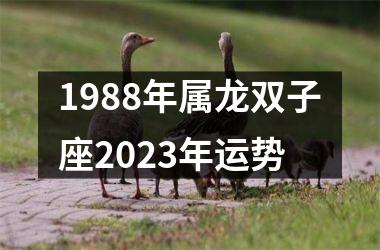 <h3>1988年属龙双子座2025年运势