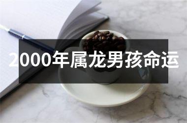 <h3>2000年属龙男孩命运