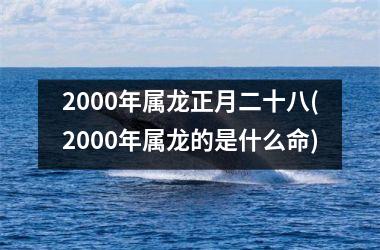 2000年属龙正月二十八(2000年属龙的是什么命)