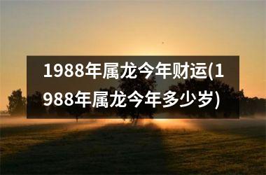 <h3>1988年属龙今年财运(1988年属龙今年多少岁)