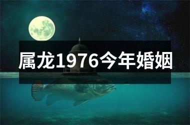 属龙1976今年婚姻