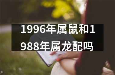 1996年属鼠和1988年属龙配吗