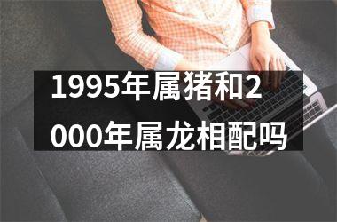 1995年属猪和2000年属龙相配吗