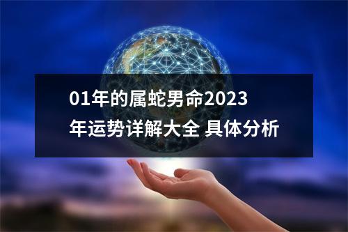 01年的属蛇男命2025年运势详解大全具体分析