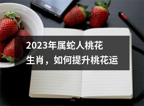 2023年属蛇人桃花生肖，如何提升桃花运