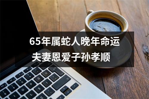 <h3>65年属蛇人晚年命运夫妻恩爱子孙孝顺