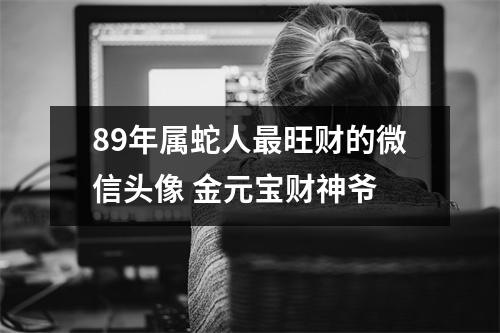 89年属蛇人旺财的微信头像金元宝财神爷