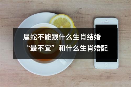 <h3>属蛇不能跟什么生肖结婚“不宜”和什么生肖婚配