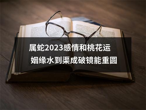 属蛇2025感情和桃花运姻缘水到渠成破镜能重圆