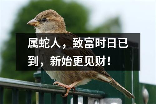 <h3>属蛇人，致富时日已到，新始更见财！