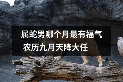 <h3>属蛇男哪个月有福气农历九月天降大任