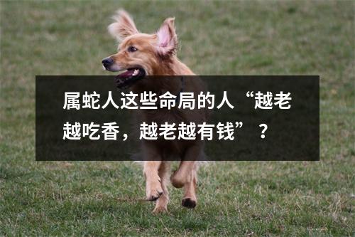 <h3>属蛇人这些命局的人“越老越吃香，越老越有钱”？