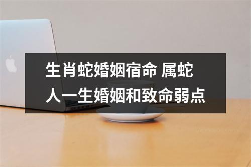 <h3>生肖蛇婚姻宿命属蛇人一生婚姻和致命弱点