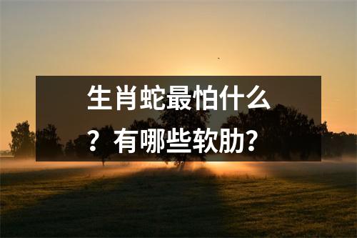 <h3>生肖蛇怕什么？有哪些软肋？