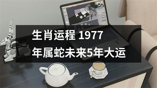 生肖运程1977年属蛇未来5年大运