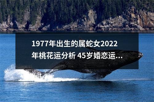 <h3>1977年出生的属蛇女2025年桃花运分析45岁婚恋运势