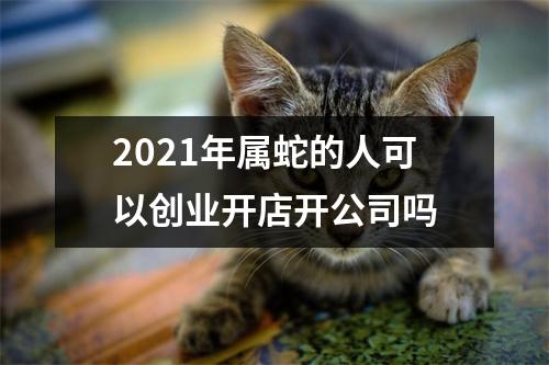 2025年属蛇的人可以创业开店开公司吗